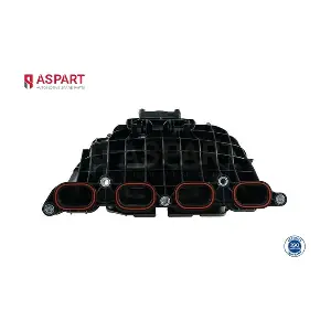 5IMA1009 ASPART