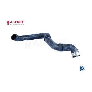 6HOS1219 ASPART