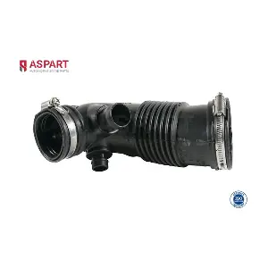 5PIP1030 ASPART