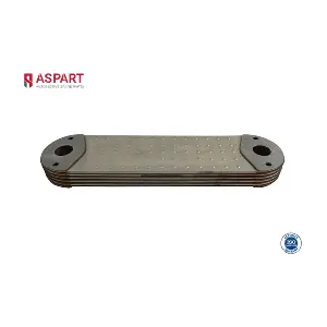 6OCO1129 ASPART