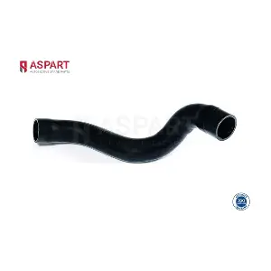 5HOS1031 ASPART