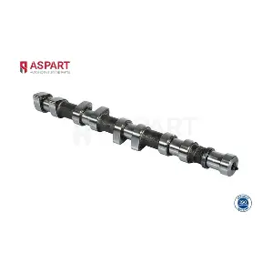 ASPART 8CAM1077