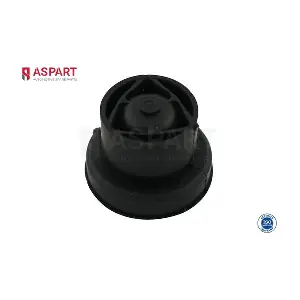 8RCO1009 ASPART