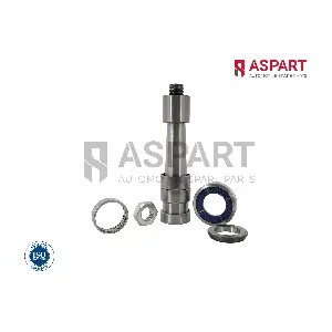 ASPART 1RKI1060