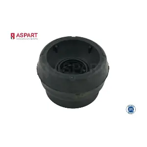 1SBE1008 ASPART