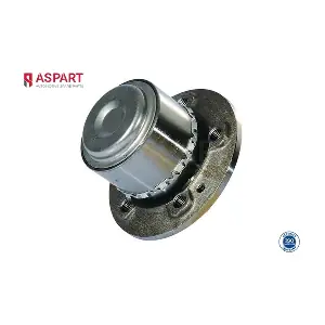 1WHU1137 ASPART