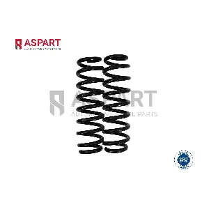 1CSP1062 ASPART