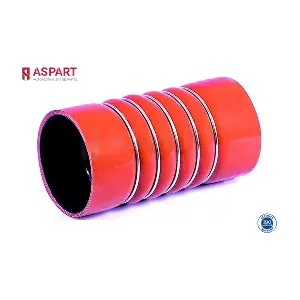 5HOS1008 ASPART
