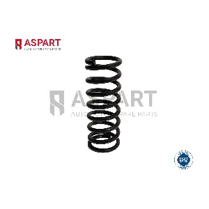 1CSP1004 ASPART