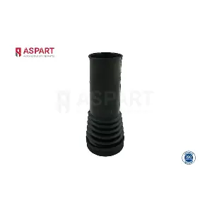 1DPS1028 ASPART