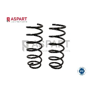 1CSP1181 ASPART