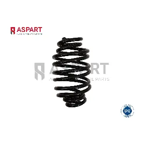 1CSP1077 ASPART