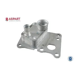 6OCO1079 ASPART