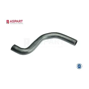 6HOS1261 ASPART