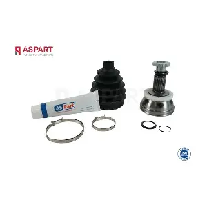 1JKD1063 ASPART