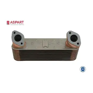 6OCO1003 ASPART