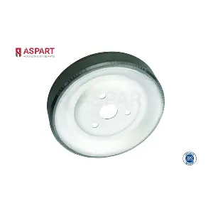 8WBP1002 ASPART