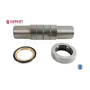 1RKI1081 ASPART