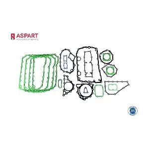 4GAS1006 ASPART