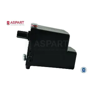 7CTP1013 ASPART