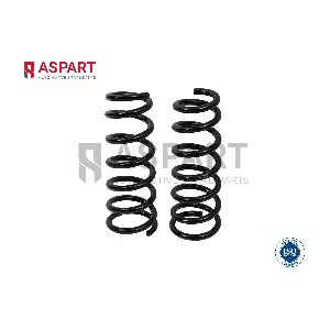 1CSP1100 ASPART