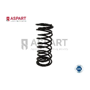 1CSP1102 ASPART