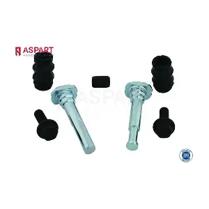 3RKI1003 ASPART