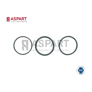 5RKI1007 ASPART