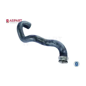 6HOS1251 ASPART