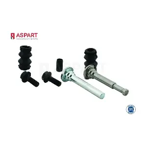 3RKI1002 ASPART
