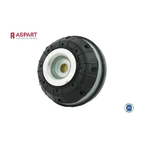 1SBE1032 ASPART