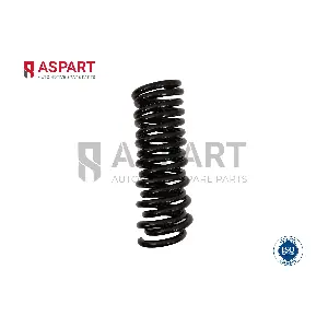 1CSP1025 ASPART