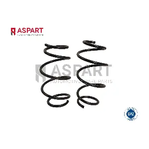 1CSP1129 ASPART