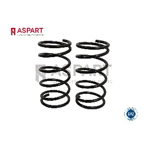 1CSP1069 ASPART