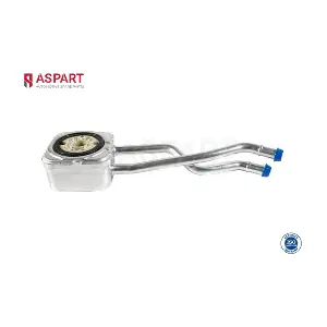 6OCO1011 ASPART