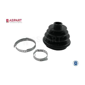 1RKI1009 ASPART