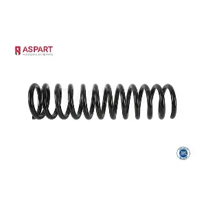 1CSP1007 ASPART