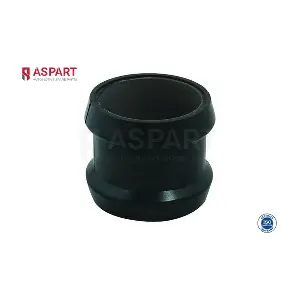 6PIP1020 ASPART