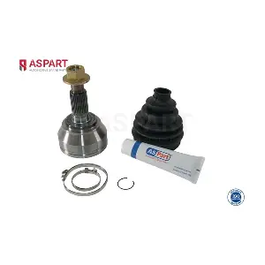 1JKD1079 ASPART
