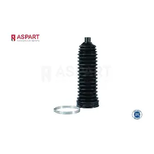 1RKI1029 ASPART