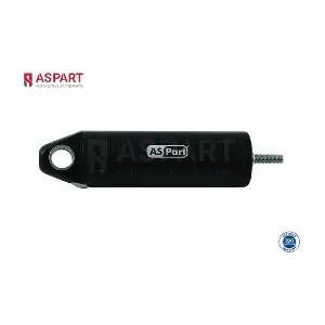 5CEB1007 ASPART