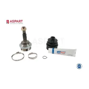 1JKD1097 ASPART