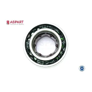 1WBE1041 ASPART