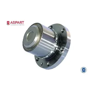 1WHU1146 ASPART