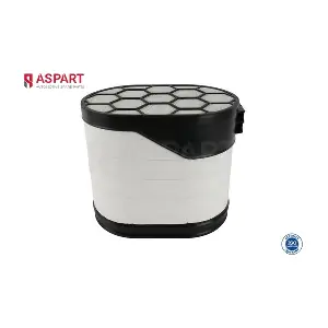 5AFI1012 ASPART