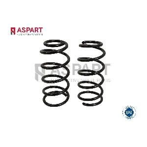 1CSP1080 ASPART