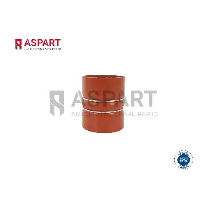 5HOS1057 ASPART