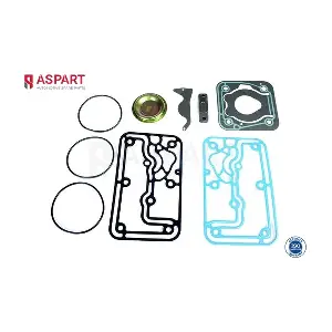 5RKI1002 ASPART