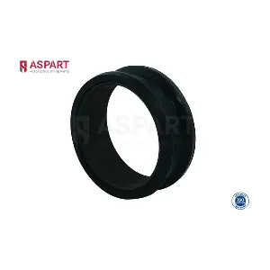 6PIP1022 ASPART