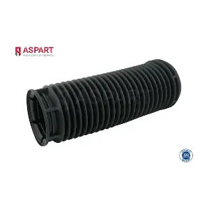 1DPS1026 ASPART